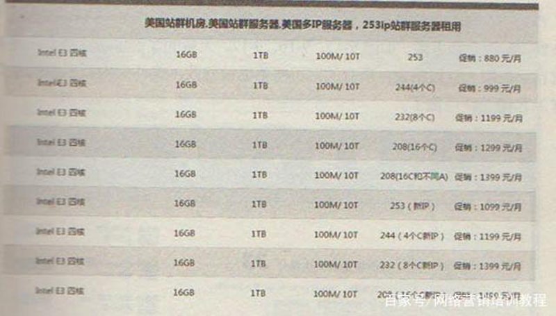 站群程序出售市场的现状与发展